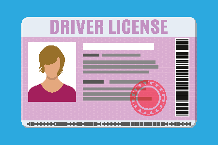 driver's license graphic